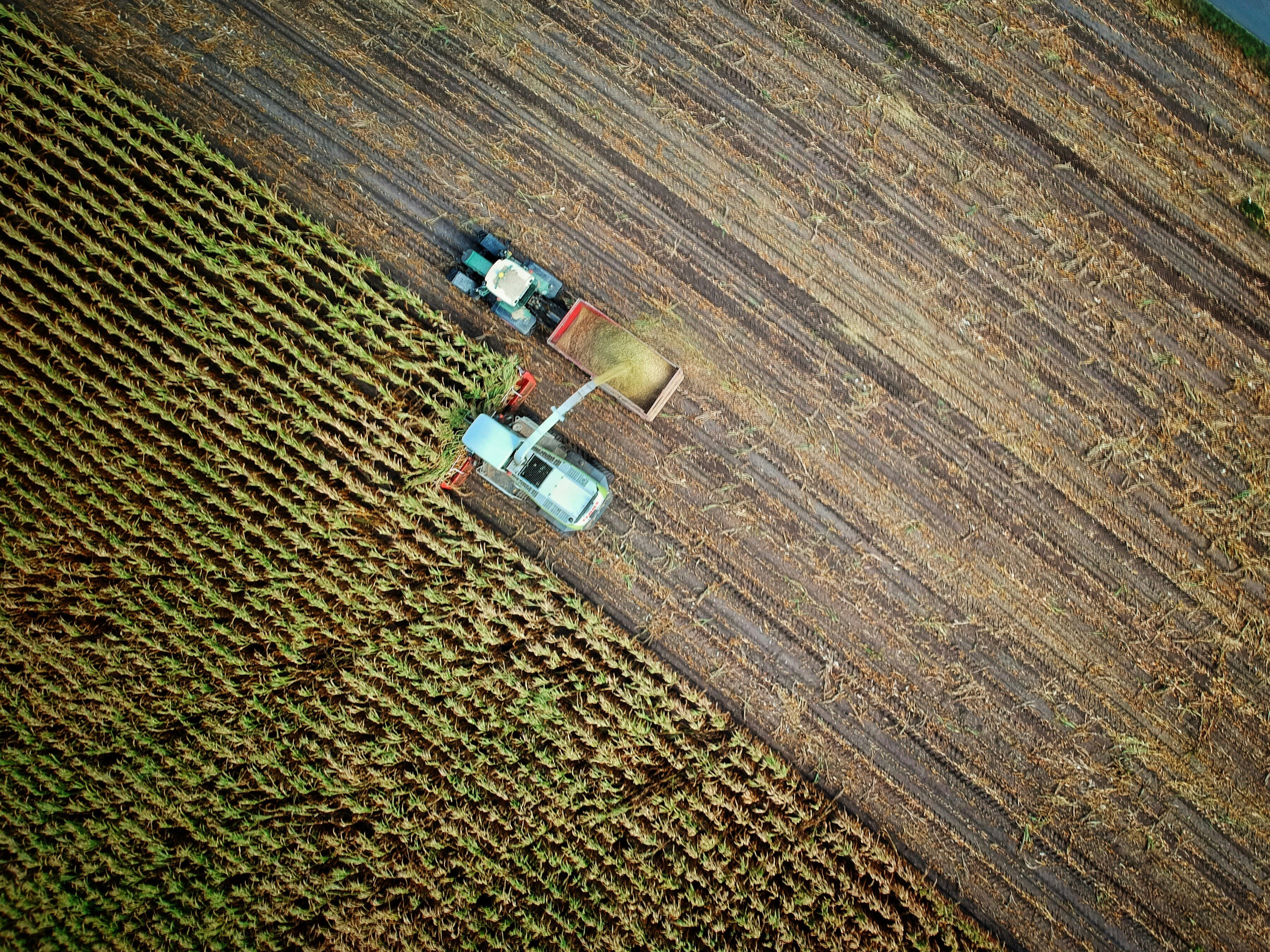 Agroindustria